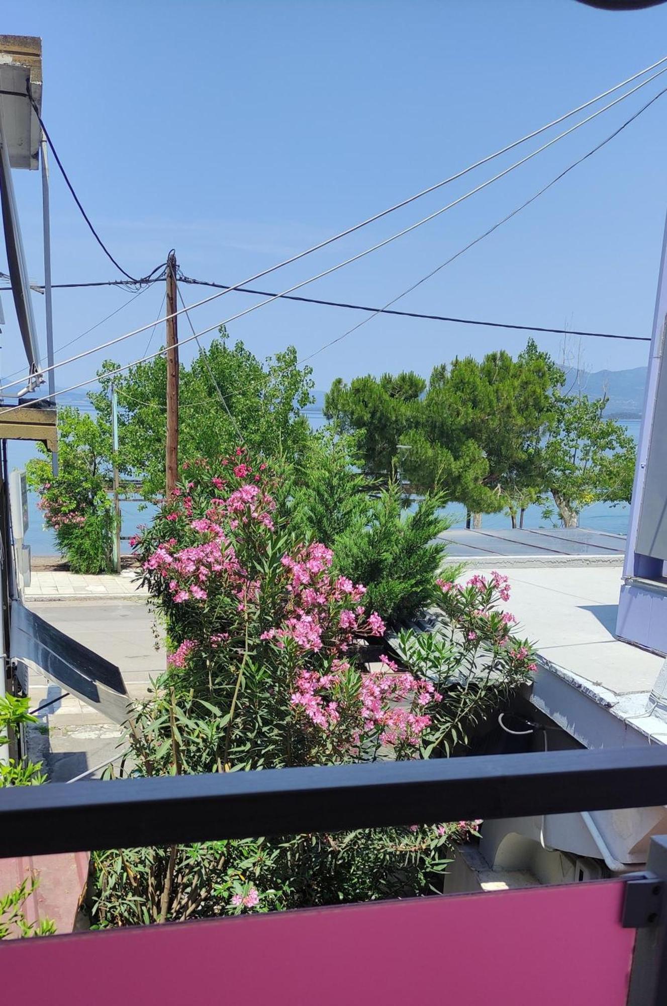 Okeania Seafront Rooms In Kamena Vourla Buitenkant foto